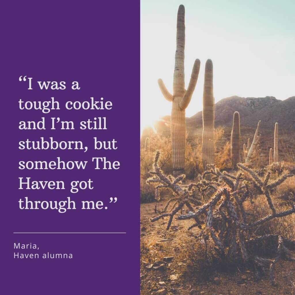 Cactus in sun and an inspirational quote